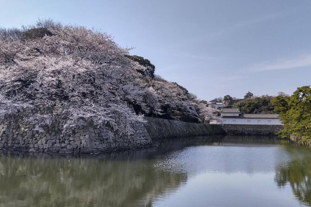Villa Hikone Castle 外观 照片